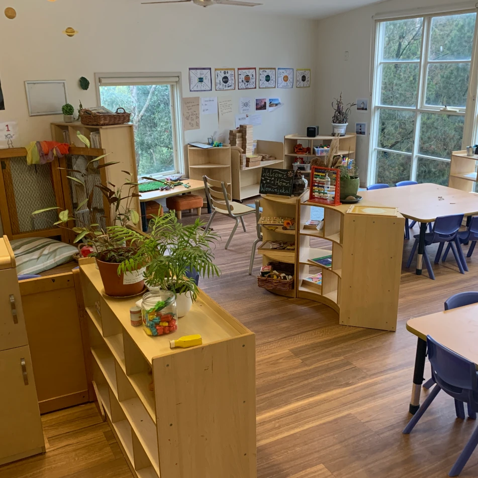 Classroom setting with wooden furniture, green plants, and educational materials, creating a warm and inviting atmosphere.